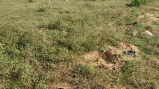 Sri Venkateshwara Nagar II Property and Plots Buy/Sale Turkayamjal Hyderabad