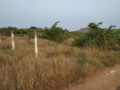 Residential plots for sale in kutumba rao layout Gandicheruvu Koheda Village Peddamberpet