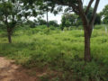 Residential plots Aakruthi County HMDA Plots Buy/Sale Edulabad Ghatkesar in Hyderabad